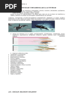 Clasificacion de Los Seres Vivos y Celula