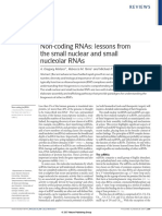 Non-Coding RNAs - Lessons From The Small Nuclear and Small Nucleolar RNAs - Nature 2007