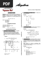 División Algebraica - Teoría y Problemas