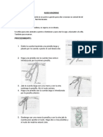 Nudos de Zootecnia