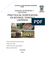 Dosificacion en Bovinos, Ovinos y Caprinos 09