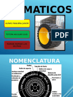 Neumaticos P