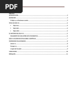 Informe Dejavu