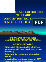 Biologie Celulara - Adaptari