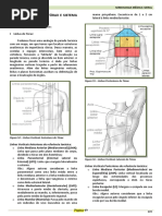 3 - Resumo Eduardo - Semiologia Do Tórax