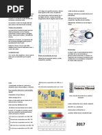 Triptico 