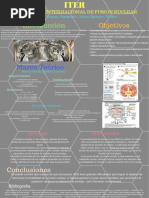 ITER