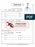 Plural Noun Rules Worksheet