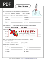 Plural Noun Rules Worksheet