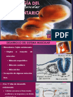 Embriología Del Sistema Muscular y Tegumentario