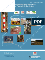 GUIA DE BUENAS PRACTICAS FORESTALES EEBOOK GBPF Corrientes PDF