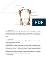 Anatomi Os Femur Dan Os Humerus Blok 28