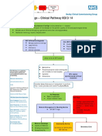 Dizziness FINAL Bexley Pathway KS13-14 v6 1