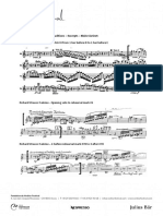 Clarinet Excerpts - 2017 1 PDF