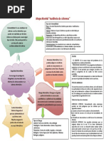 Mapa Mental Auditoria