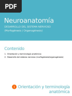 Neuroanatomía. Desarrollo Del Sistema Nervioso (Morfogénesis y Organogénesis)