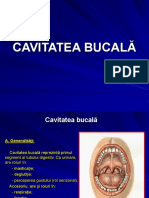 Curs 7 Cavitatea Bucală