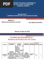 Sistema de Producción Bovinos de Carne