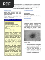 Casos Clinicos Hepatitis