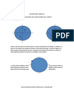 Actividad Óptica Oftálmica 1 Reticulo Reconocimiento