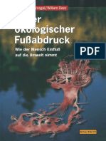 Unser Ökologischer Fußabdruck: Wie Der Mensch Einfluß Auf Die Umwelt Nimmt