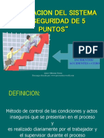 Los 5 Puntos de Seguridad