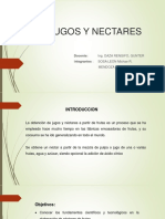 Jugos y Nectares