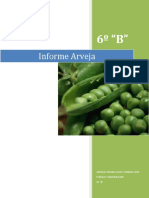 Informe Arvejas