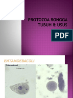 Protozoa Rongga Tubuh + Usus