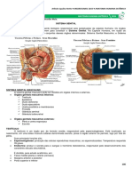 10 - Sistema Genital