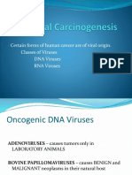 Certain Forms of Human Cancer Are of Viral Origin. Classes of Viruses DNA Viruses RNA Viruses