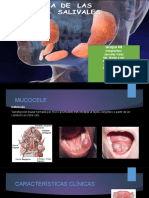 Patologia de Las Glándulas Salivales