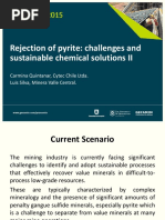 Procemin 2015 Rejection of Pyrite: Challenges and Sustainable Chemical Solutions II