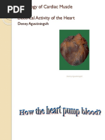 Physiology of Cardiac Muscle and Electrical Activity of The Heart