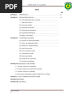 Informe Final de Cebada Fisio