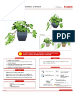 Ornamental Plant: Ivy (Pattern) : Pot (Navy)