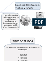 Tipos Tejidos