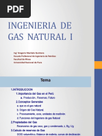 Ingenieria de Gas 1