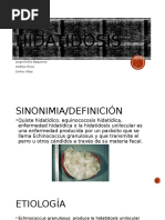 Hidatidosis (4) (Autoguardado)