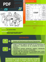 Erp Logistica PDF