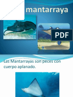 La Mantarraya