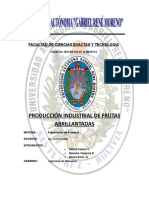 Proyecto Produccion Industrial de Frutas Abrillantadas