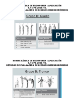 Aplicación de Ergonomia RM-375-2008-TR Ok