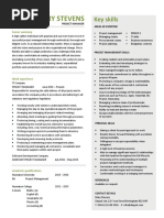 Project Manager CV Example 3