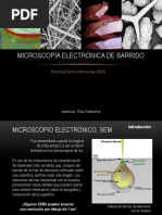 Microscopía Electrónica de Barrido