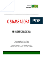 Sintese Da Lei Do Sinase PDF