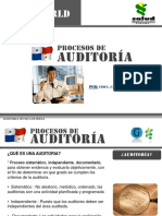 Procesosdeauditora 101112141308 Phpapp01