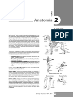 Anatomía Canina - Fariña - Smith 