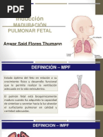 Induccion Madurcion Pulmonar Fetal