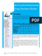 2016 Lake County Accidental Overdose Death Report